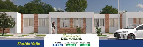 banner atardeceres del maizal